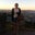 Sara Arredondo's profile image