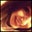 Meredith Otto's profile image