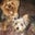 Jessica Garcia's profile image