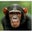 ᴡ wilson's profile image
