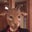 Garen P's profile image