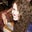 Ada Dubrawska's profile image