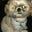 John Haynes's profile image