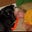 Sarah Murphy's profile image