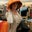 Angie Elliott's profile image
