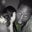 Mark Thiong'o's profile image