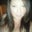 Lindsy Joyner's profile image