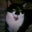 Erik Bader's profile image