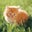 KC C.'s profile image