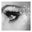 Lori Shawl's profile image