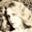 Elisa Adam's profile image