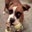 Melissa Fischl's profile image