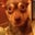 Diana Rogers's profile image