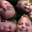 Kara Kramer's profile image