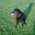 Jeanne Trexler's profile image