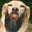 Nathan Papa's profile image