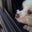 Andrea Montanez's profile image