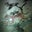 Eric Curnow's profile image