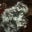 Bas Schraders's profile image