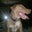 Kelly Reid's profile image