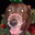 Debi Howard's profile image