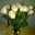 Patty Castor's profile image