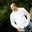 Trevor Hauk's profile image