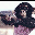 Sarai Villarreal's profile image