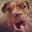 Shannon Smith's profile image