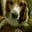 Teresa Ruddell's profile image