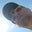 Matthew Bryant's profile image