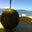 Xavier Delayre's profile image