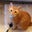 Stephanie Jones's profile image