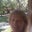 Becky-Lynn Minaker Hester's profile image