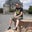 Ian Crook's profile image