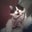 Nicole Lynn's profile image