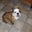 Nat Ruffatto's profile image