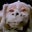 Brian D's profile image