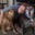 Devon Metcalf's profile image