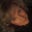 Diana Baird's profile image