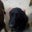 Bill Loudermilk's profile image