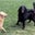 Donna Marts's profile image