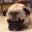Boo's profile image