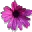 Katie Boughton's profile image