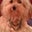 Elizabeth Buikema's profile image