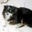 Rich Holliman's profile image