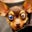 Andrea Kober's profile image