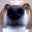 Steve Hayman's profile image