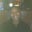 Shia357's profile image