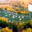 Mayfair Campground.com's profile image